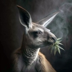 dj set - recorded live @ Bonjour Bon Genre