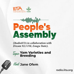 Yam Varieties and Breeding with Jane Ofem