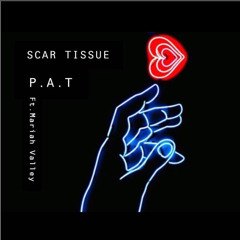 Scar Tissue (Ft. Mariah Valley)