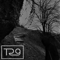 Tech-room 29 Podcast 25 [Guest Mix] - M!st