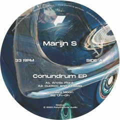 PREMIERE: Marijn S - Cuckoo And Azaleas (Polychrome Audio)