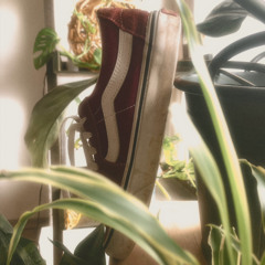 VANS (prod. Calisto)