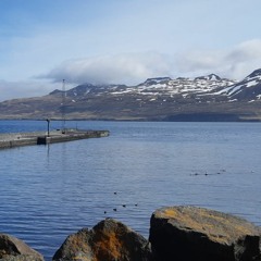 Ómur Borgarfjarðar eystri