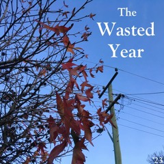 The Wasted Year