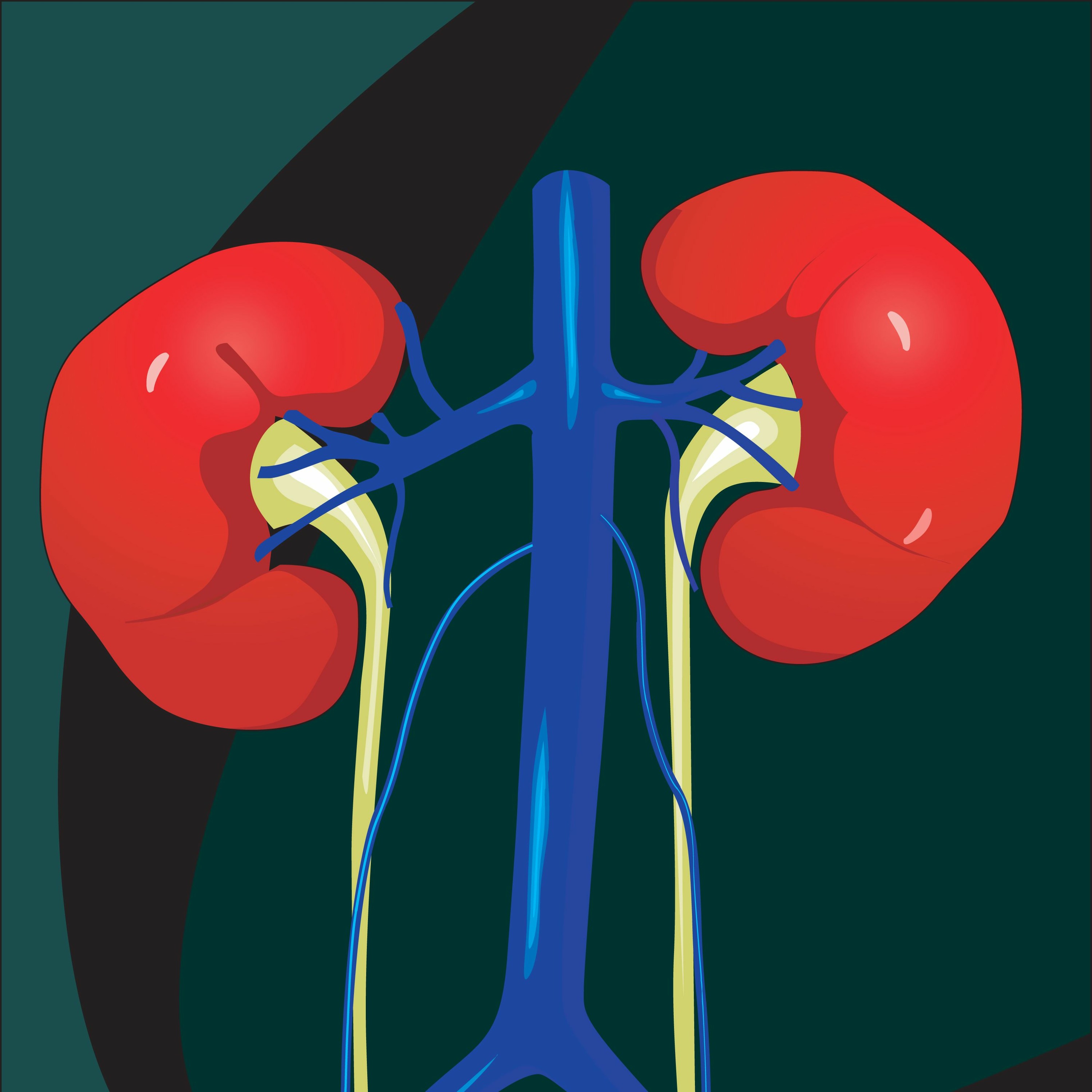 The Morning Health Show In Conversation With Kidney Transplant Patients episode artwork