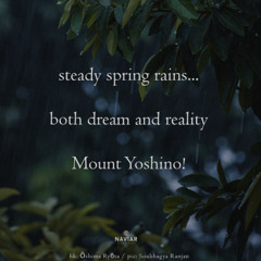 slow and steady _NaviarHaiku591