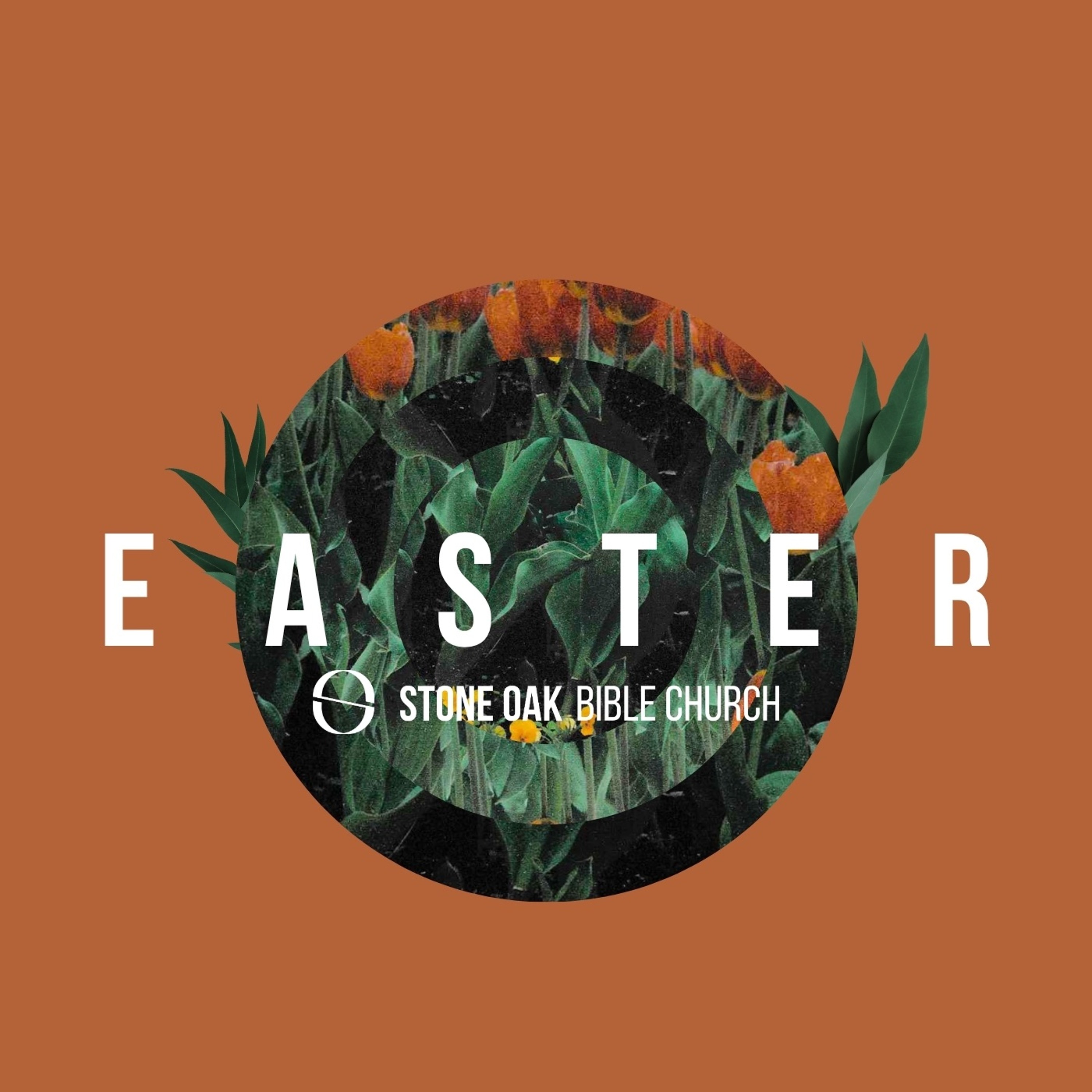 Responding to the Empty Tomb - Luke 24:1-12 episode artwork