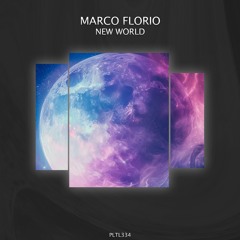 Marco Florio - Introspection