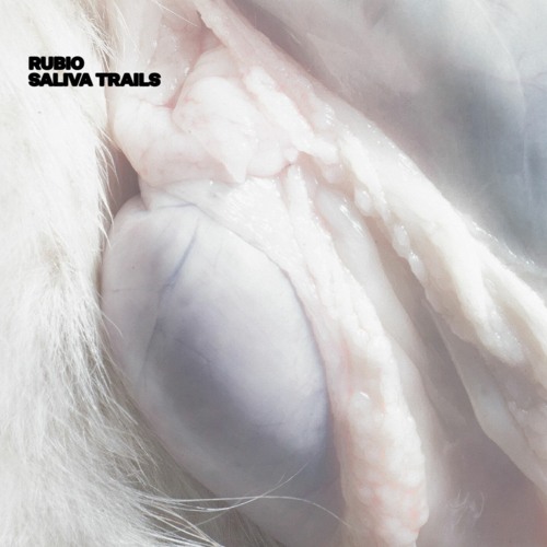 PREMIERE: Rubio - Sheraton [On The Ropes]