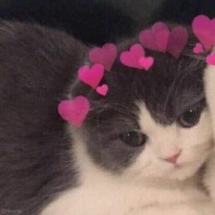MOOD