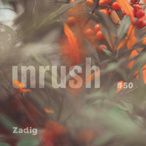 050 - Unrushed by Zadig