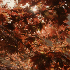 future garage scorpio season mix