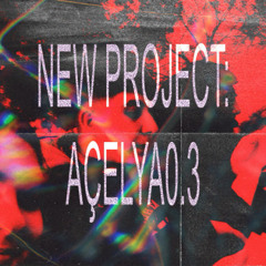 NEW PROJECT: AÇELYA0.3
