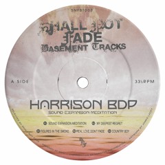 Premiere: Harrison BDP - My Deepest Regret [Shall Not Fade]