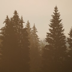 Italy, Roana, September 2020, Rain Soft Chrch Bells