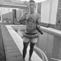 ORO EN EL MEÑIQUE - CARTIER HARDY (p.vicente)