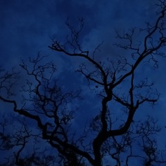 chain smoking (elegant sipping) Prod by souzi & SkinnyBoySKEL