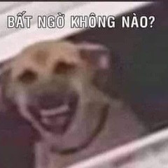 Phố Hoa Lệ Full - TD ( Zalo 0945398199 )