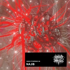 NMNH POWERMIX 04: NAJIB