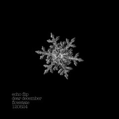 RSCL, Repiet & Julia Kleijn- Echo (Flowstate Flip)