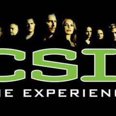Review Special Price Csi: The Experience