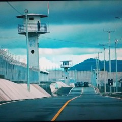 Intentional by reckless 300aka Shane Fitzpatrick .wav