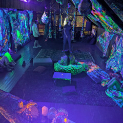 Live at Trippyllya Psy Camp (psychill/chillgressive DJ set)