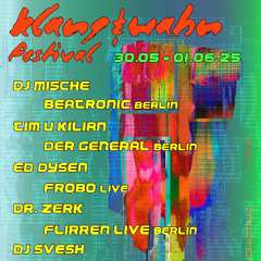 Klang&Wahn Festival_25_Beatronic_SA_2