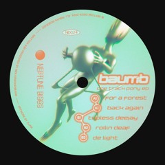 PREMIERE: Baumb - Topless Deejay [Neptune Discs]