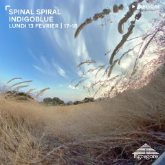 Spinal Spiral - Indigoblue (Février 2023)