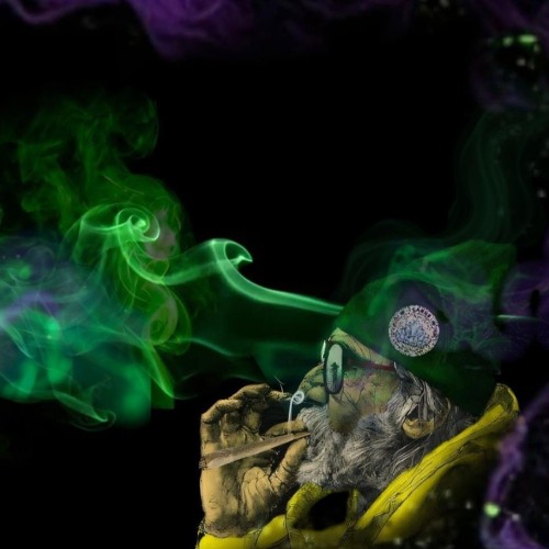 HIGHLY POTENT SH%T DNB SET