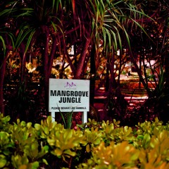 Mangroove Jungle vol.1