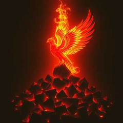 For Your Light
