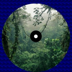 Canopy (Original Mix)