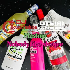 Nobody like Shotjee - Zatox Da Tweekaz  Bassbrain (House Fashion Mashup)