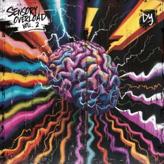 Sensory Overload Vol. 2
