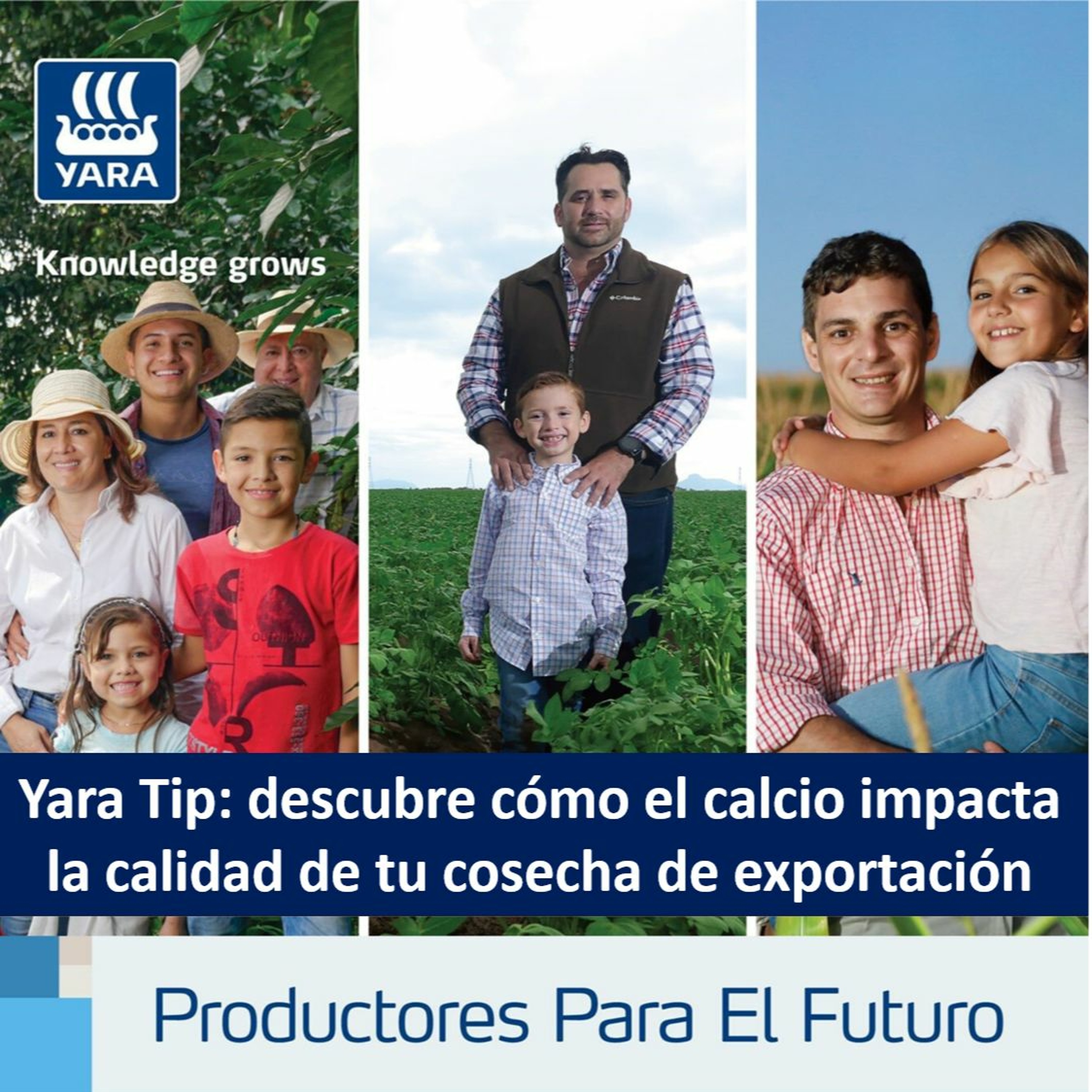 Productores Para El Futuro