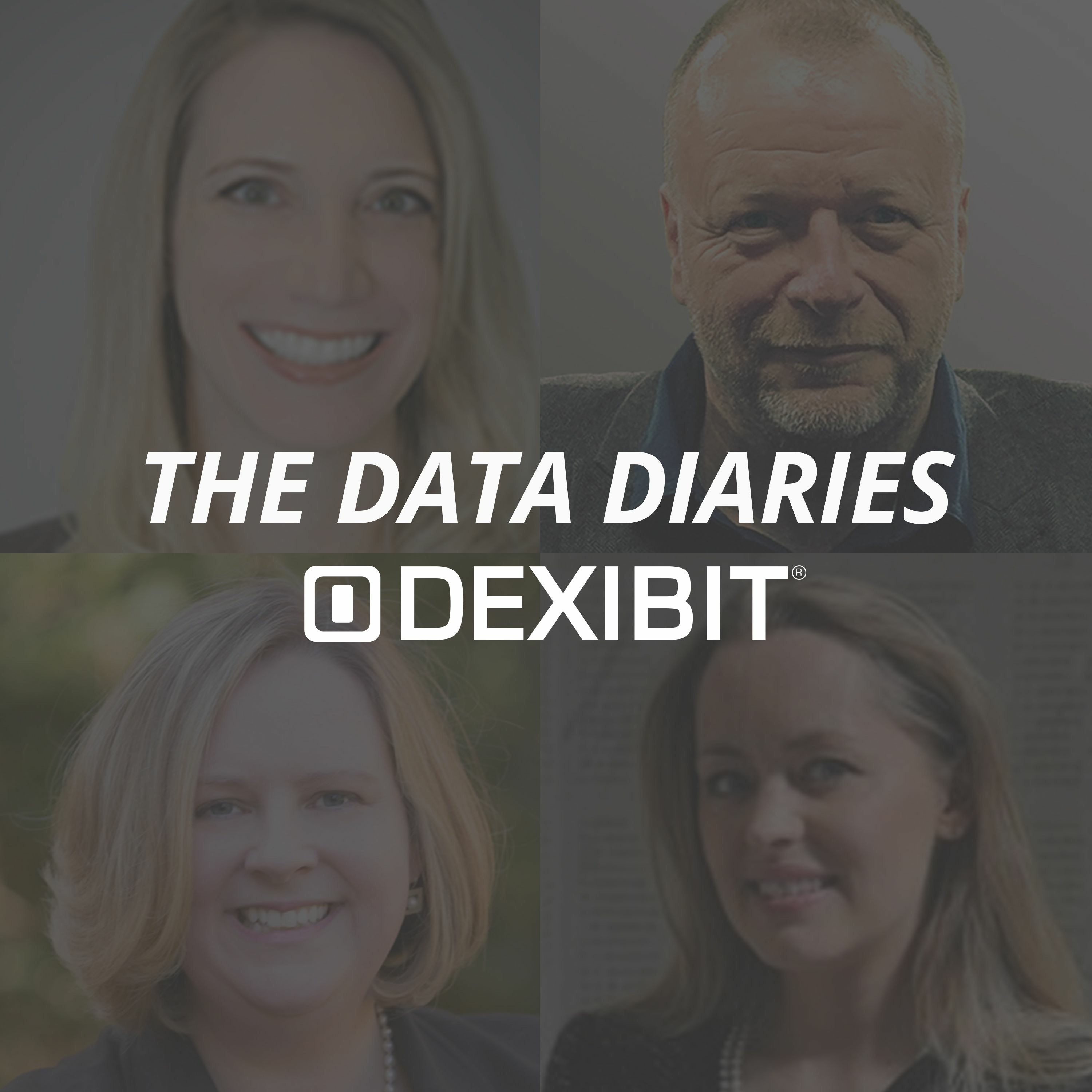 Dexibit: The Data Diaries