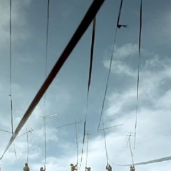 pull your price down please i'm begging you