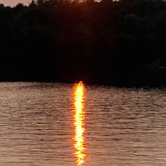 Sound of Silence
