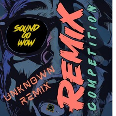 Zigi SC - Sound Go Wow ( Unknown [DE] Remix)