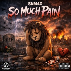 So much pain-SNM40.