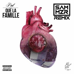 PNL - J'comprends pas (Sam MZR Remix)