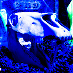 YONI-P NOVIEMBRE 2025