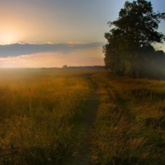 new day