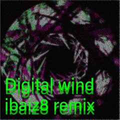 Digital Wind (ibaiz8 remix)