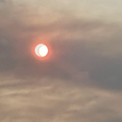 Don’t Let Me Get Lost