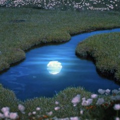 ambient