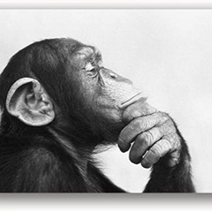 Christophe Mae Les Gens Neo  Peaches Mix neosmash exclusif