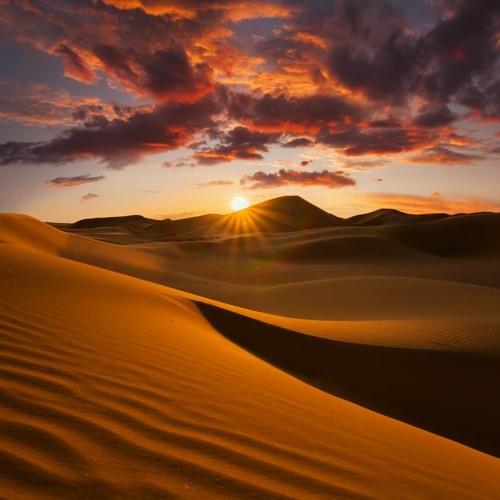 Desert World - ( Prod. by Bill Wain )